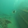 BUCEO DE RECREACION