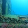 BUCEO DE RECREACION