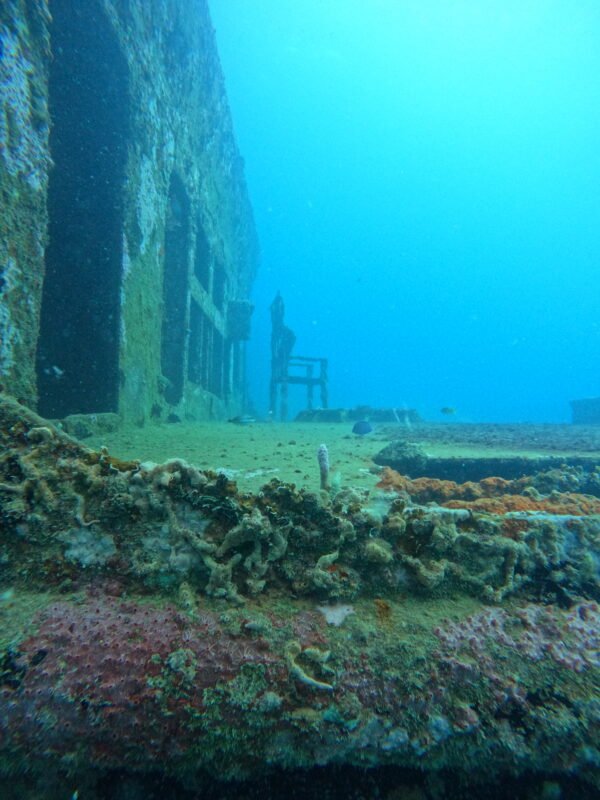 DCIM101GOPROGOPR3178.JPG BUCEO DE RECREACION