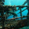 BUCEO DE RECREACION