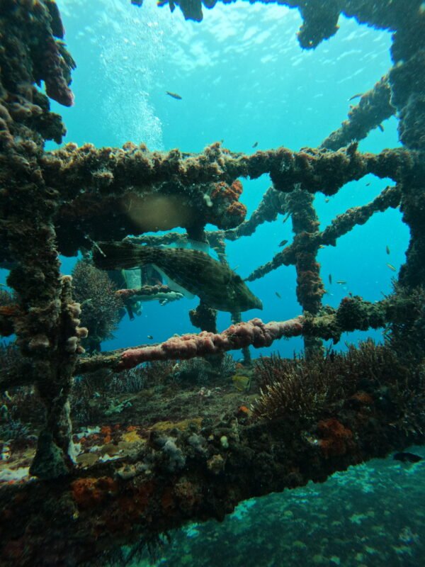 DCIM101GOPROGOPR3214.JPG BUCEO DE RECREACION