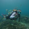 BUCEO DE RECREACION