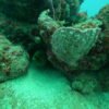 BUCEO DE RECREACION