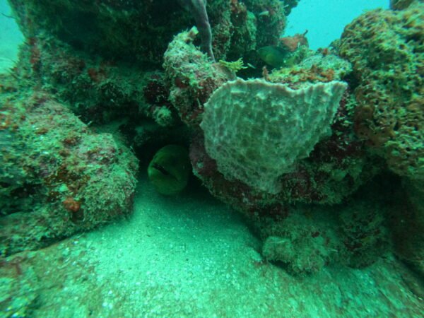 DCIM101GOPROGOPR3249.JPG BUCEO DE RECREACION