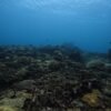 BUCEO DE RECREACION