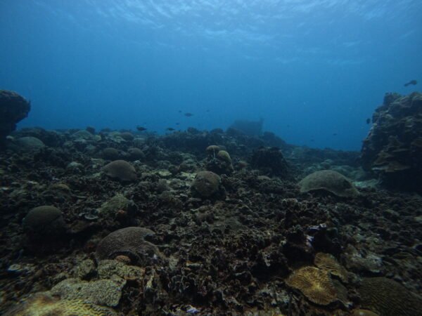DCIM101GOPROGOPR3265.JPG BUCEO DE RECREACION