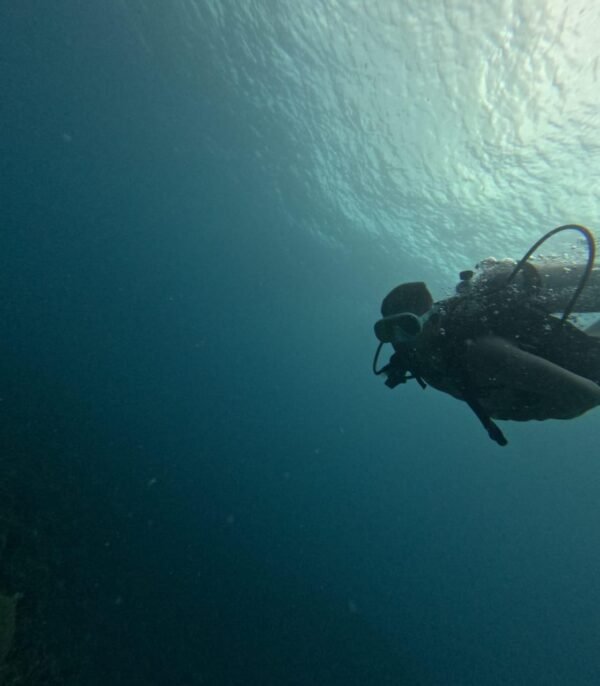IMG-20250518-WA0061 BUCEO DE RECREACION