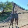 Aventura en el volcán de lodo en Cartagena